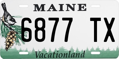 ME license plate 6877TX