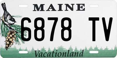 ME license plate 6878TV