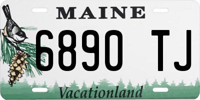 ME license plate 6890TJ
