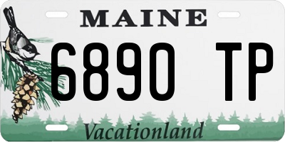 ME license plate 6890TP