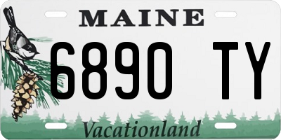 ME license plate 6890TY