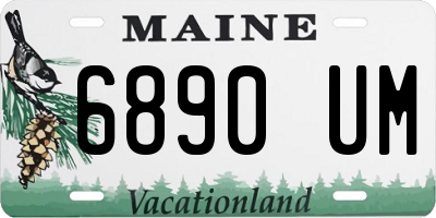 ME license plate 6890UM