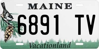 ME license plate 6891TV