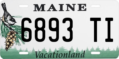 ME license plate 6893TI