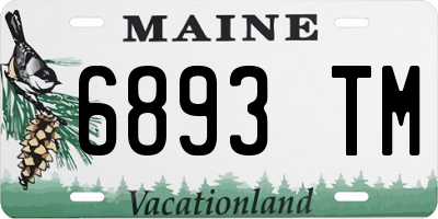 ME license plate 6893TM