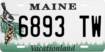 ME license plate 6893TW