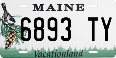 ME license plate 6893TY