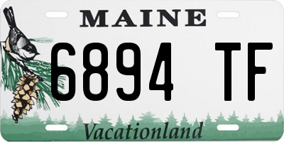 ME license plate 6894TF