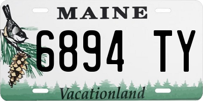 ME license plate 6894TY