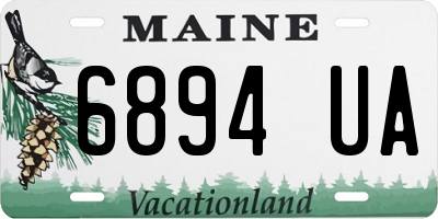 ME license plate 6894UA