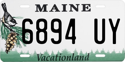 ME license plate 6894UY