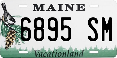 ME license plate 6895SM
