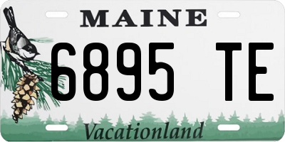 ME license plate 6895TE