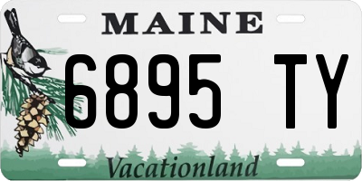 ME license plate 6895TY