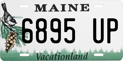 ME license plate 6895UP