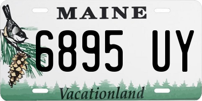 ME license plate 6895UY