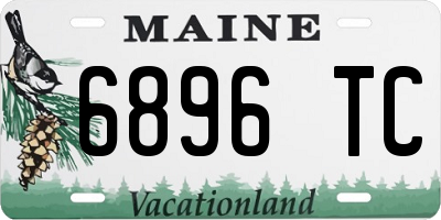 ME license plate 6896TC