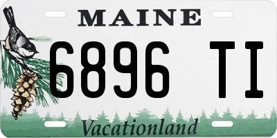 ME license plate 6896TI