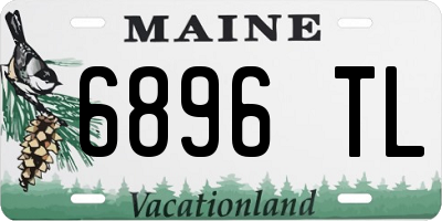 ME license plate 6896TL