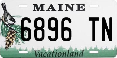 ME license plate 6896TN