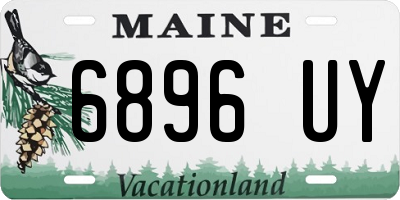 ME license plate 6896UY