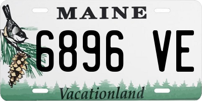 ME license plate 6896VE