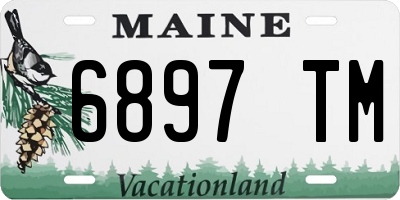 ME license plate 6897TM