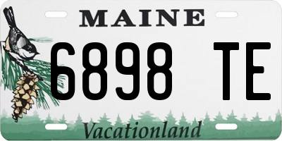 ME license plate 6898TE