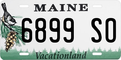 ME license plate 6899SO