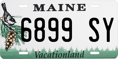 ME license plate 6899SY