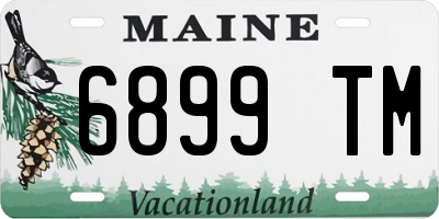 ME license plate 6899TM