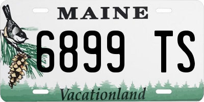 ME license plate 6899TS