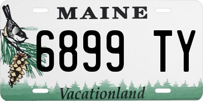 ME license plate 6899TY