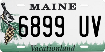 ME license plate 6899UV