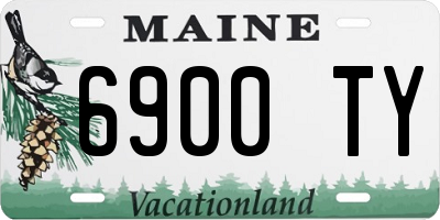 ME license plate 6900TY