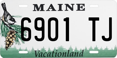 ME license plate 6901TJ
