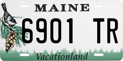 ME license plate 6901TR