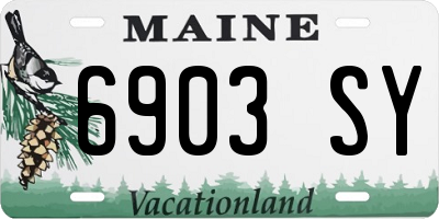 ME license plate 6903SY