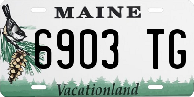 ME license plate 6903TG