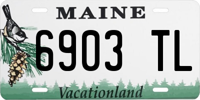 ME license plate 6903TL