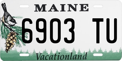 ME license plate 6903TU