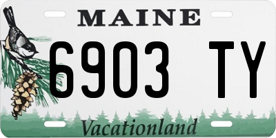 ME license plate 6903TY