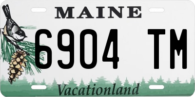 ME license plate 6904TM