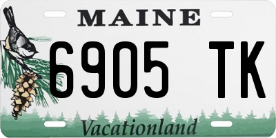 ME license plate 6905TK