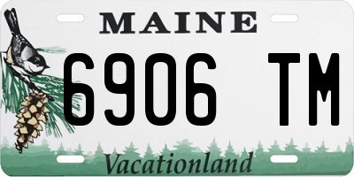 ME license plate 6906TM