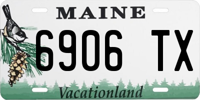 ME license plate 6906TX