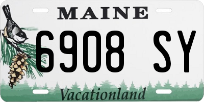 ME license plate 6908SY