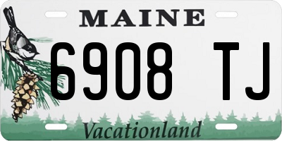 ME license plate 6908TJ