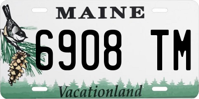 ME license plate 6908TM