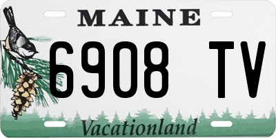 ME license plate 6908TV